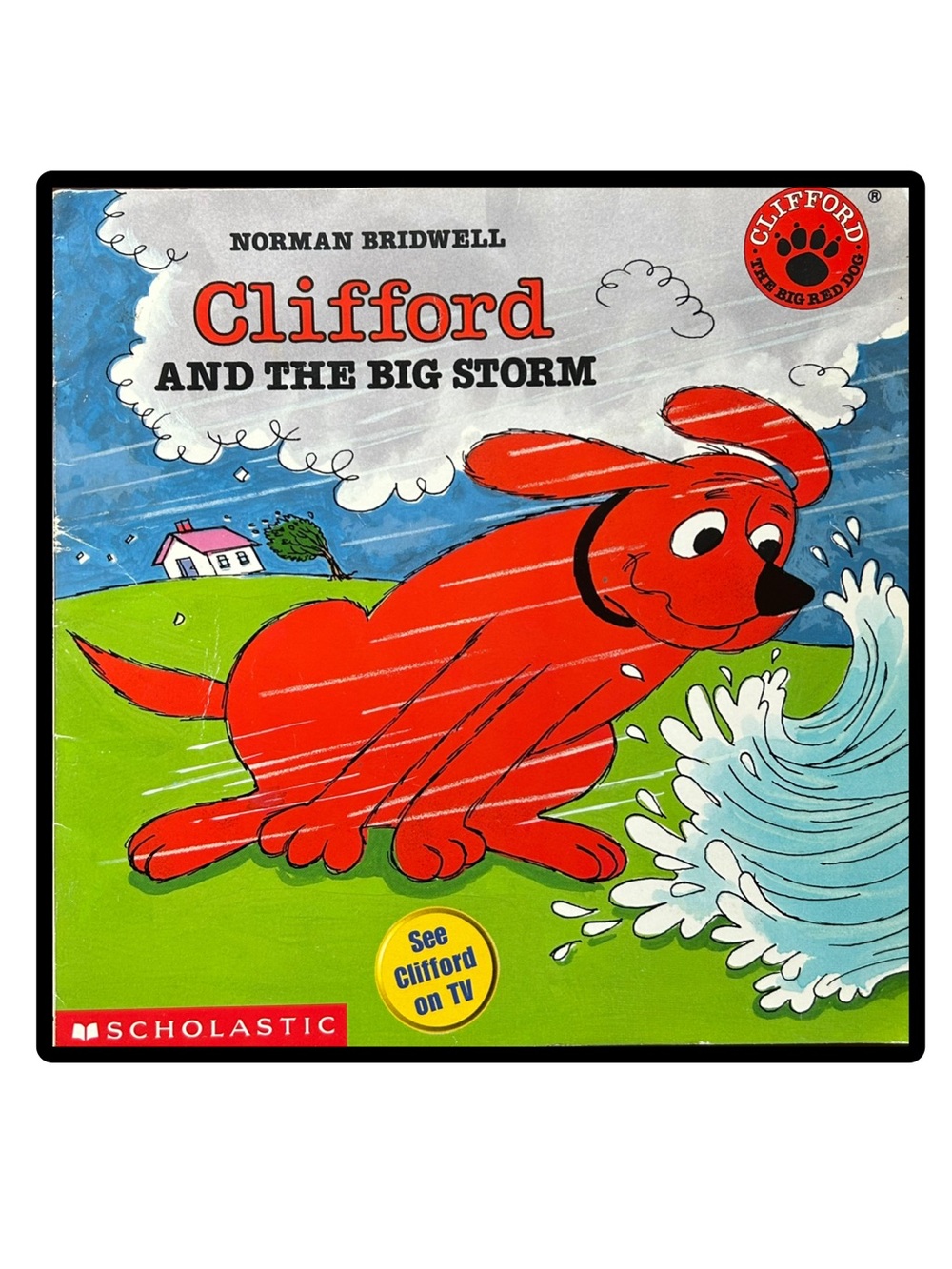 BUNDLE & SAVE 🦴Clifford and the Big Storm Vintage 1995 Softcover Book